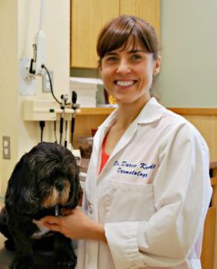 friendship veterinary