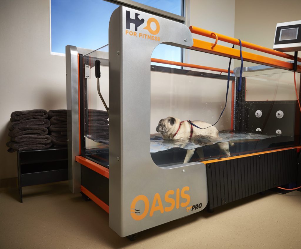 Rehabilitation Friendship Hospital for Animals