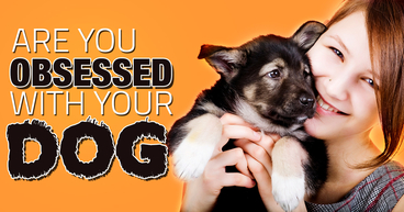 Are You Dog Obsessed? - Friendship Hospital for Animals