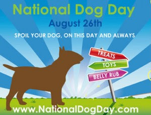 Saturday August 26th Is National Dog Day Friendship Hospital For Animals